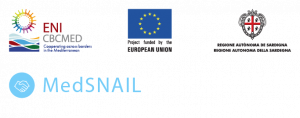v09_en_medsnail